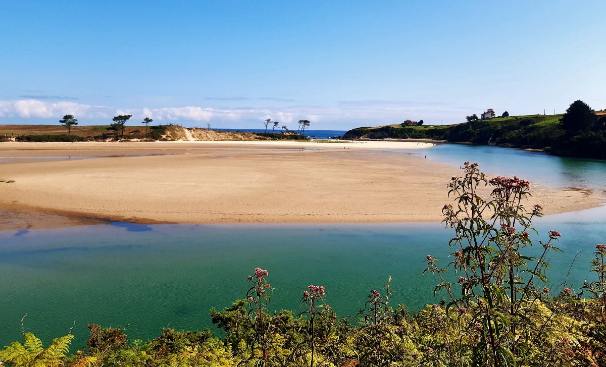 scenery of a estuary and the beach