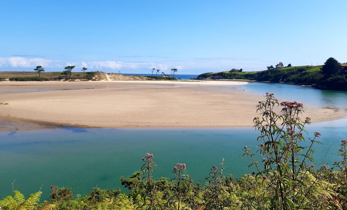 Vista de la unión de la ría de La Rabia con el mar Cantábrico. Arenal, agua y pinos