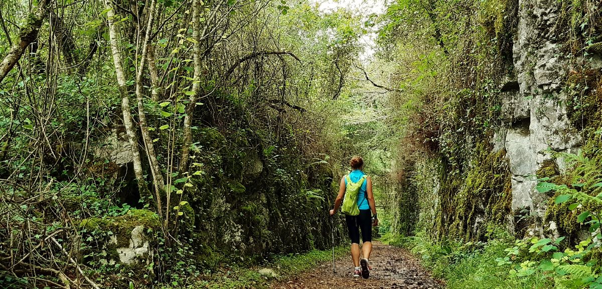 mujer paseando paisaje verde